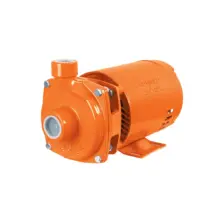 Bomba Centrífuga Para Agua Expert 3/4 Hp Truper 100432