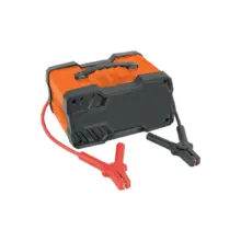 Cargador Automático De Baterías 100A 12V Y 24V Truper