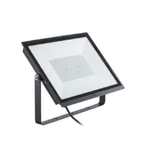 Reflector Led Luz Blanca 100 W 8500 Lm Philips